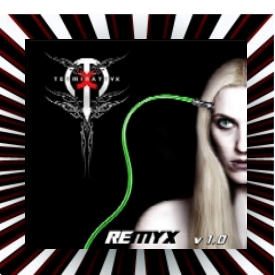 Remyx V1.0